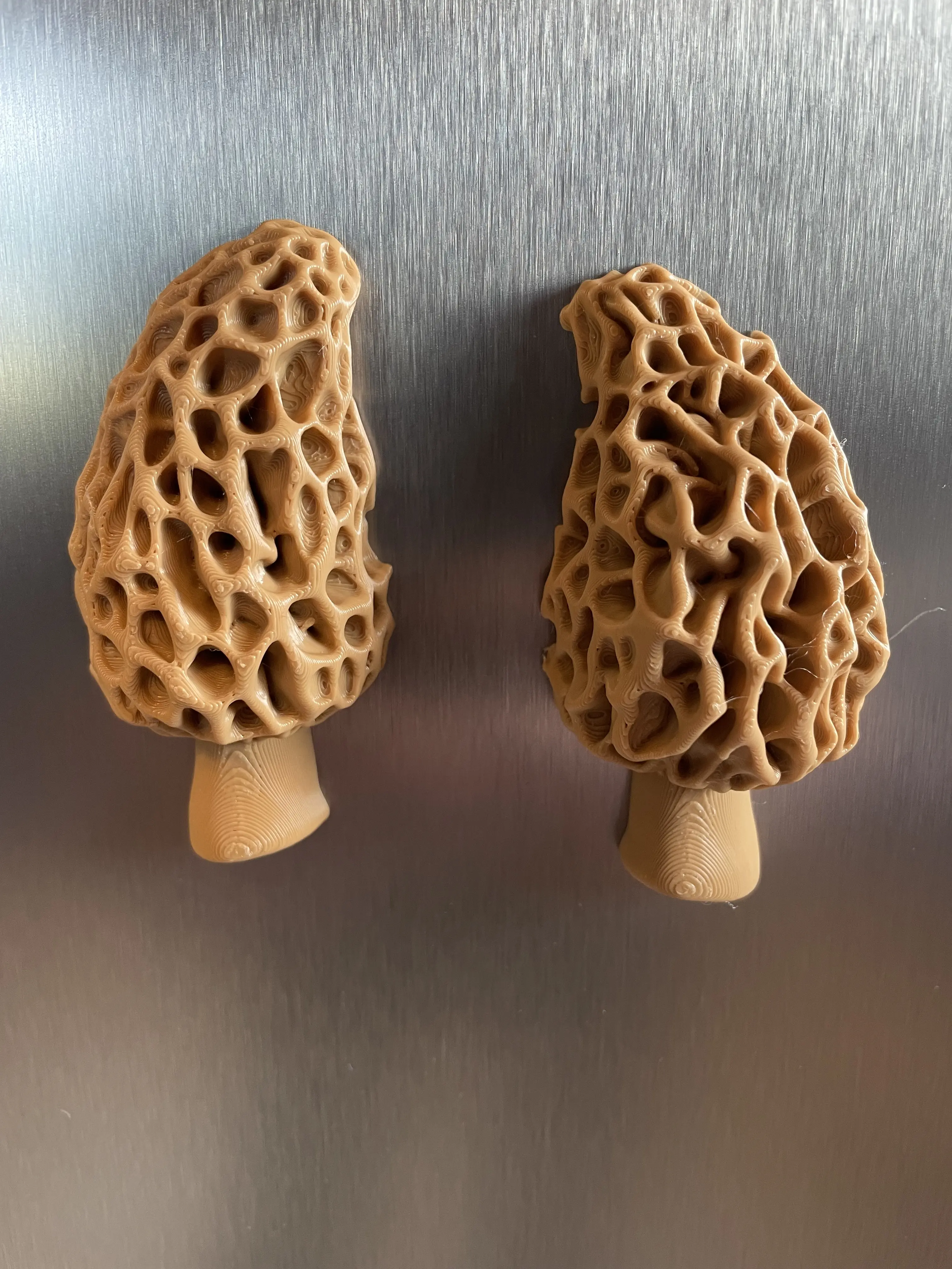 Morel Mushroom Fridge Magnet, 3D Printed Forest Decor, Cottagecore Kitchen Magnet, Mushroom Lover Gift, Forager Gift