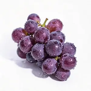 Purple grapevine saplings — sweet, juicy, and highly productive. They grow easily in pots, making them perfect for home patios, balconies, and small gardens.