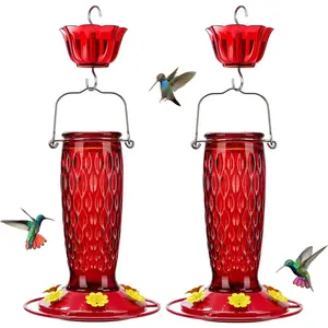 2 Pack Glass Hummingbird Feeders for Outdoors Hanging,  Bird Nectar Feeder with 6 Feeding Ports, 24 oz Leak-Proof, Red (Ant Moat Included)