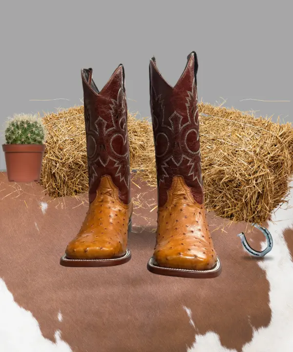 Cowboy City Ostrich Boots Cowboy City Ostrich Boots