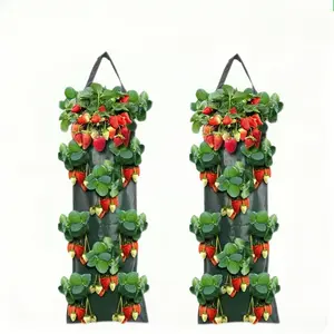 2pcs wall-mounted strawberry planting bag, wall-mounted planting bag, hanging porous strawberry planting bag, balcony courtyard dill vegetable planting bag, breathable and water-permeable, degradable, durable and reusable