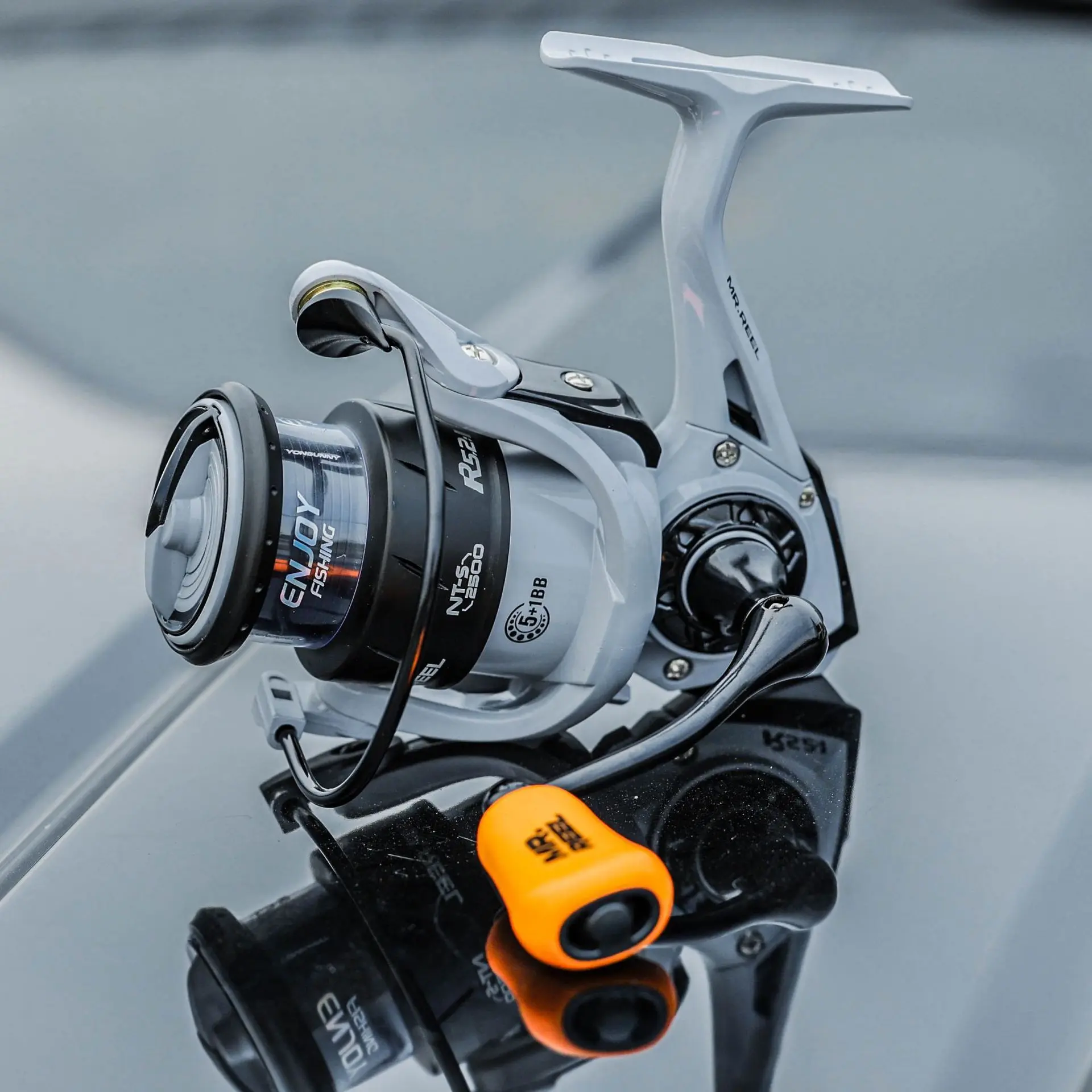 W] NTS 1500-2500 Series Fishing Reel | High Gear Ratio 5.2:1, 5+1