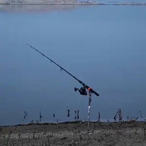 Custom Elevated Fish Hook Setters