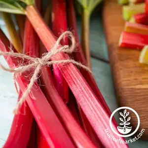 Rhubarb Crowns - Spring - Canadian Red
