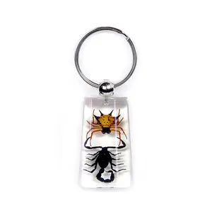 Real Black Scorpion Keychain and Spider Spiny Real Nature Gift Jewelry With Box