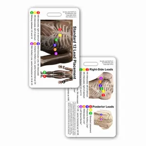 EKG 12 Lead Placement Badge Card