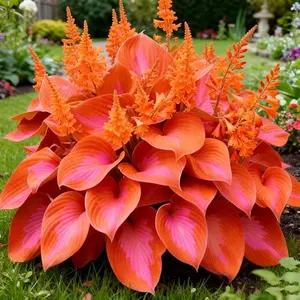 800 Hosta Seeds Bulk Pack – Lush Foliage Shade Garden Plant