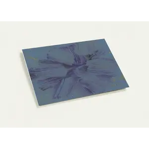 Crazy Flower - Wild & Wonderful