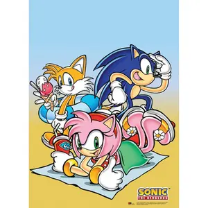 Sonic The Hedgehog - Beach Group Wall Scroll