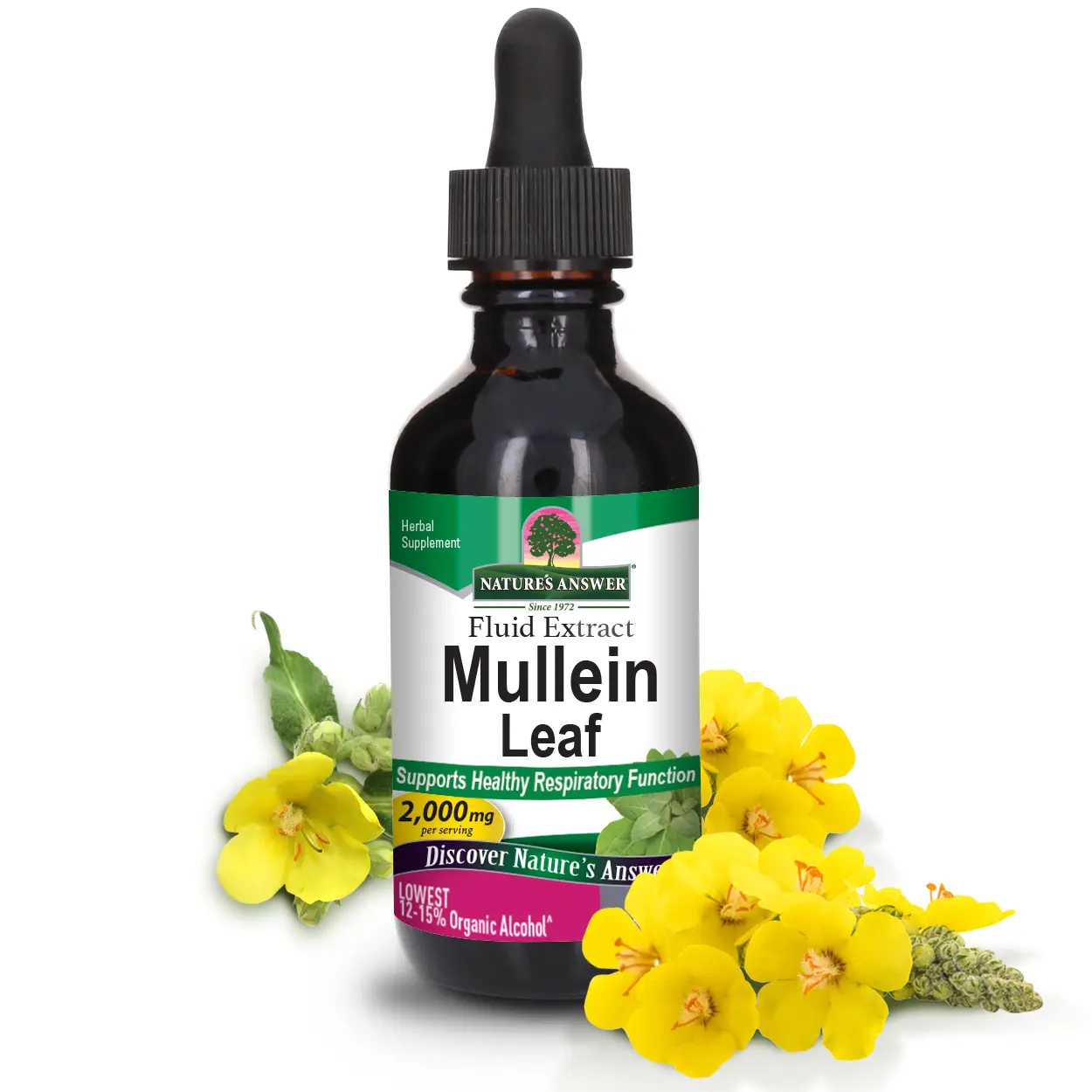 Nature's Answer Mullein Leaf with Organic Alcohol 2000mg 2oz Extract | Supports Respiratory Function | Vegan, Non-GMO, Gluten-Free, Kosher | Single Count