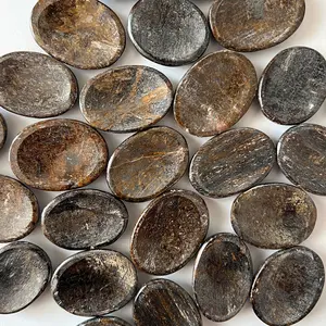Bronzite Worry Stone