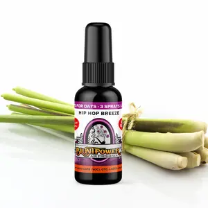 Hip Hop Breeze Air Freshener Spray Hip Hop Breeze Air Freshener Spray