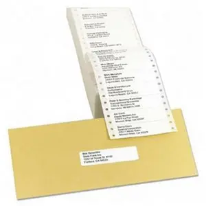 Avery Dennison Address Label 3.5 Inch x 0.93 Inch Carrier Size 4.25 Inch 5000 Label Address Label