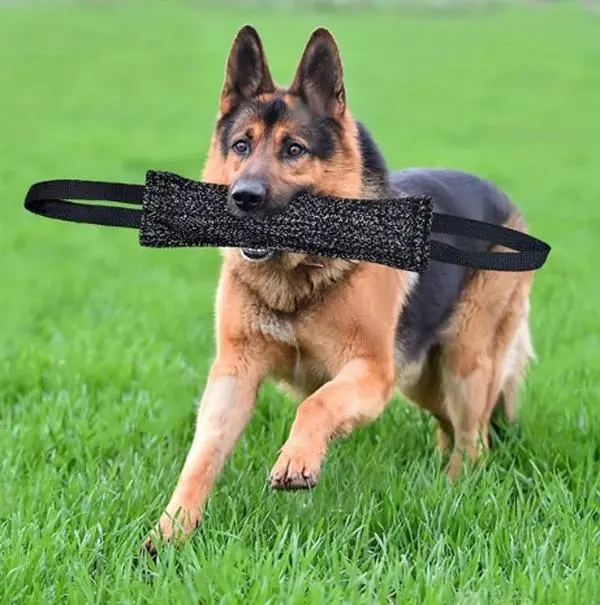 Dog Bite Stick Tear Resistant Cloth Dog Training Toy