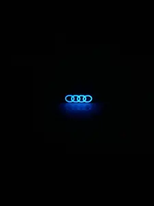 Fits Audi Tire Valve Cap / Shrader Stem Cap - Glows In The Dark! 5-Pack