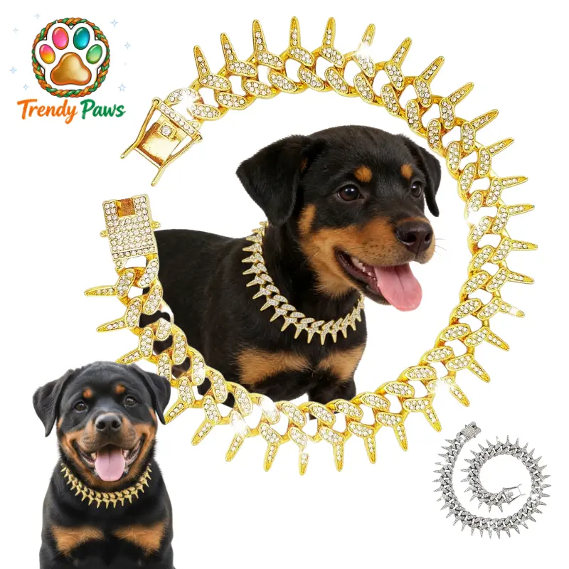 pitbull with gold chain - TikTok Shop