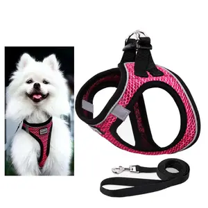 Escape Proof Cat & Dog Harness & Leash Adjustable Reflective Soft Mesh Vest for Easy Safe Walks with Free Leash Included