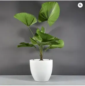 Large Round Tree Planter, 15" x 13" for Versatile Planting, Durable Design, and Easy Use