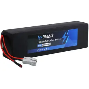 60V 20Ah Lithium Battery with 30A BMS, Rechargeable Lithium-ion Battery Pack