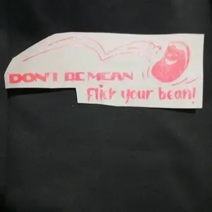DON'T BE MEAN, FLICK YOUR BEAN!!! holographic decal