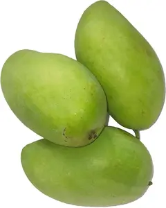 1PC SEED Green Mango Fruit Seed Rare Color Mango Edible Sweet Fruit an Exciting New Addition