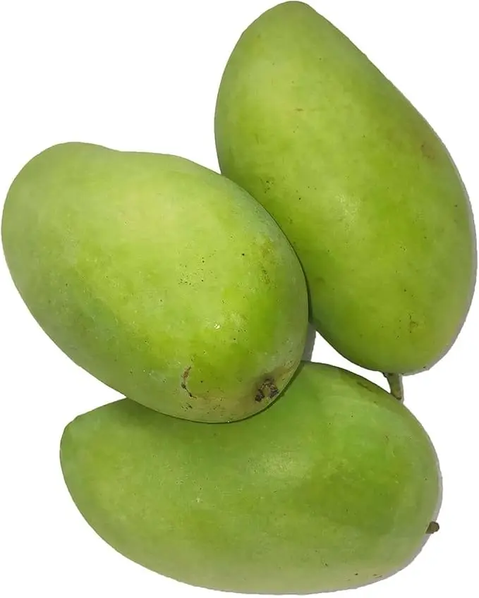 1PC SEED Green Mango Fruit Seed Rare Color Mango Edible Sweet Fruit an Exciting New Addition