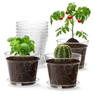 Clear Nursery pots with Drainage Holes & Trays- 3 & 4 inch, 30 pcs