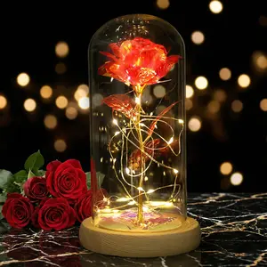 Mother's Day Gift for Mom - Forever Galaxy Rose in Glass Dome, LED Night Light Present Glowing Bear-Shaped,summervibes