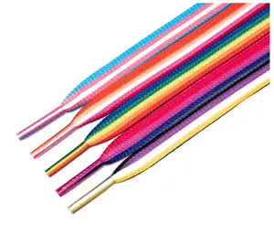 LGBTQIA+ Flag Shoelaces