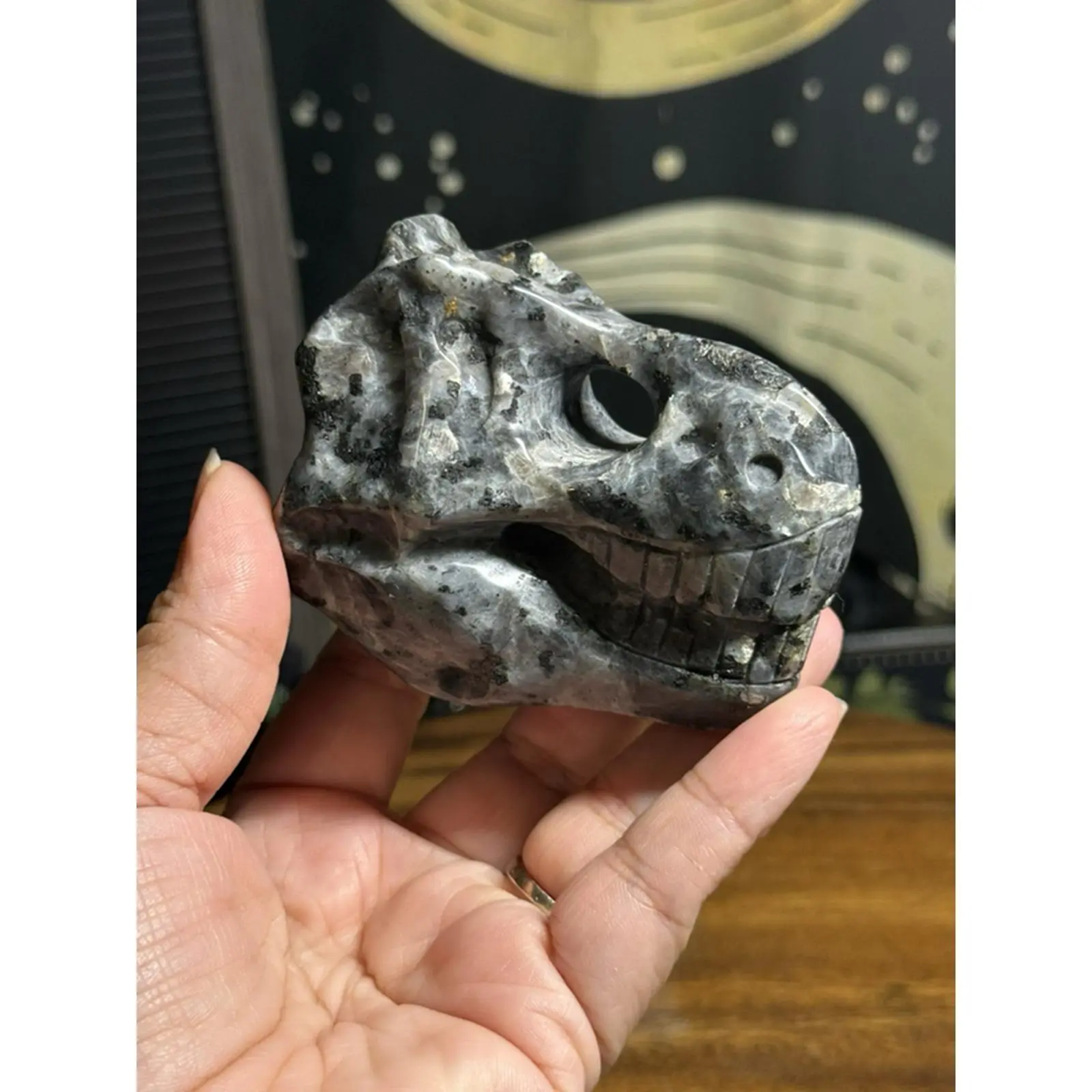 Larvikite Dinosaur Skull - Crystal Fossil Replica for Collectors and Enthusiasts