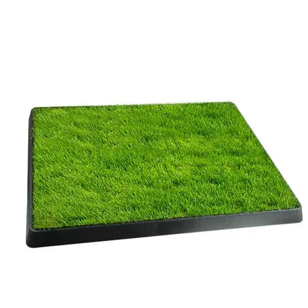 Artificial Grass Dog Potty Training Mat with Pet Loo Tray Turf, Indoor-Outdoor Use for Small-Medium Dogs