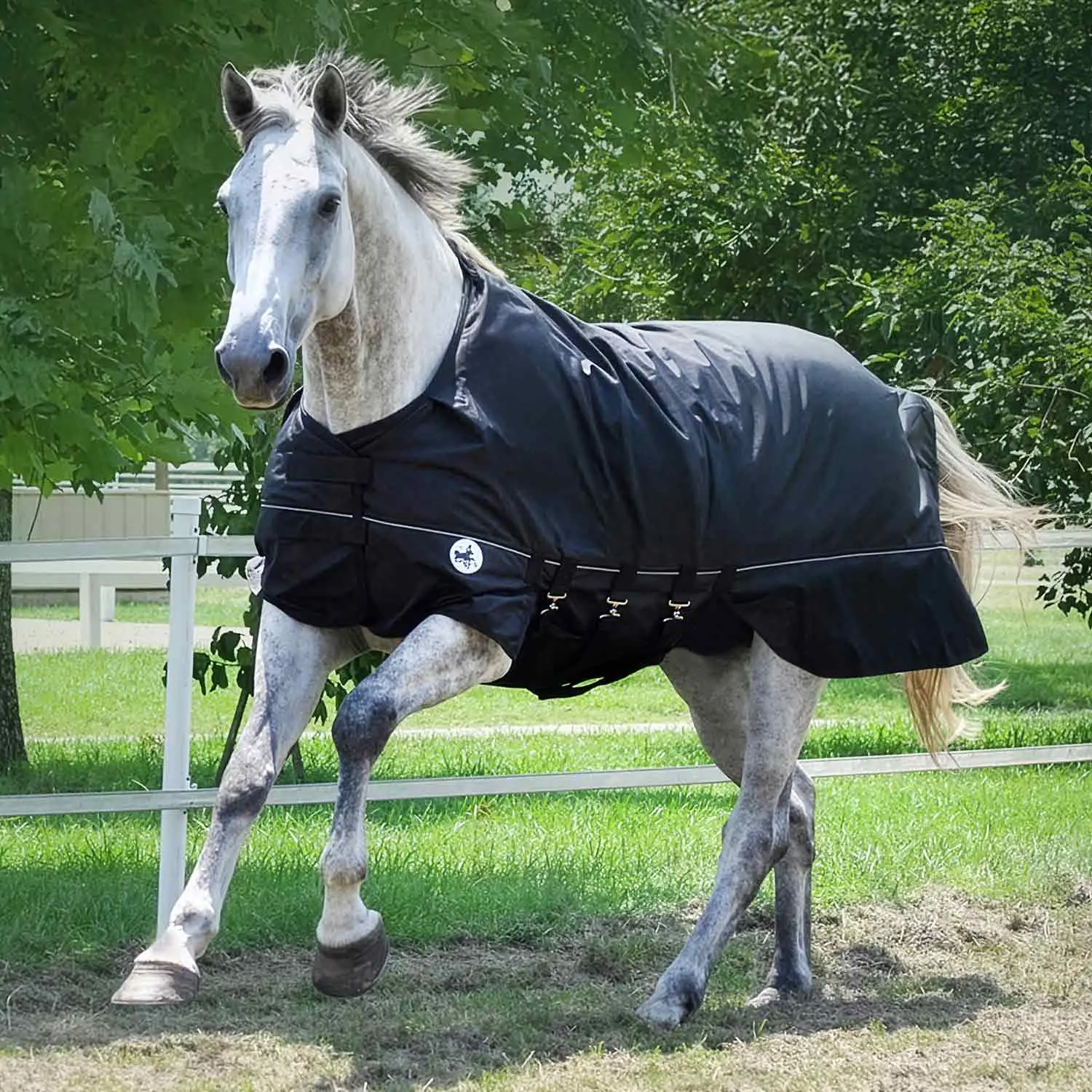 Jeffers Supreme Plus 1680 Denier Heavy Weight Horse Turnout Blanket, 360 Gram Fill, Black Jeffers Supreme Plus 1680 Denier Heavy Weight Horse Turnout Blanket, 360 Gram Fill, Black