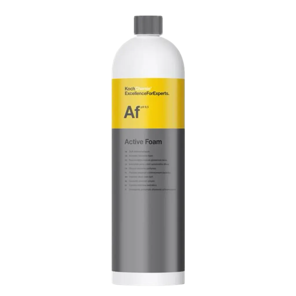 Koch-Chemie Active Foam & Foam Cannon Bundle, Automotive Car Detailing Products Cleaner for Car Washing & Maintenance