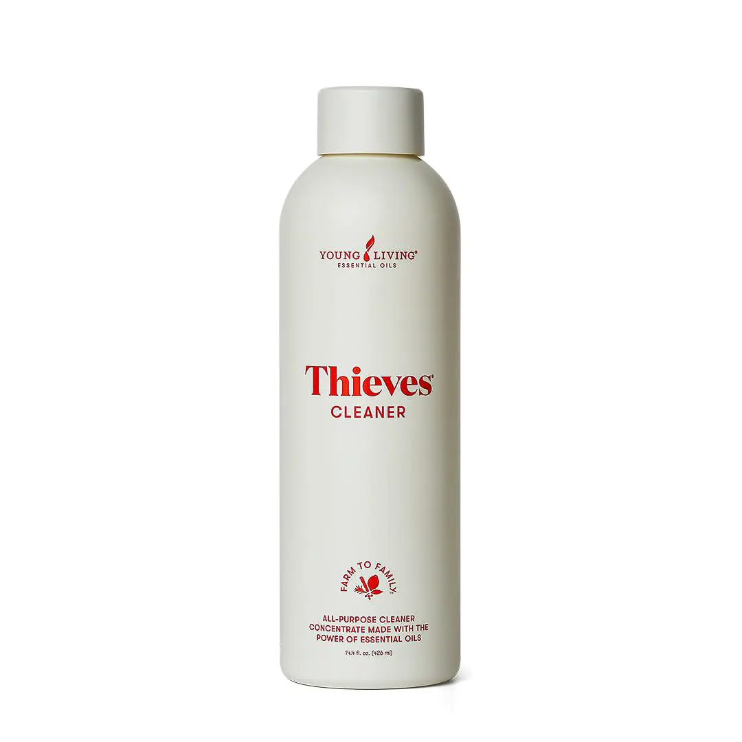 Thieves Cleaner Thieves Cleaner