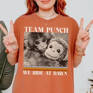 Team Punch Monkey Meme T-shirt – Ride At Dawn Hopecore Sweatshirt – Cute Baby Monkey Support Hoodie