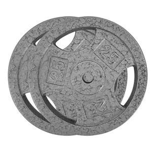 Garvee Cast Iron Weight Plates Set 1 in, 2.5 LBS/5 LBS/10 LBS/25 LBS Bumper Plates for Home Gym, Strength Training & Weightlifting (25 LBS Pairs)