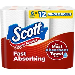 6 Double Rolls Paper Towels with 100 Sheets Per Roll Toilet Wipes
