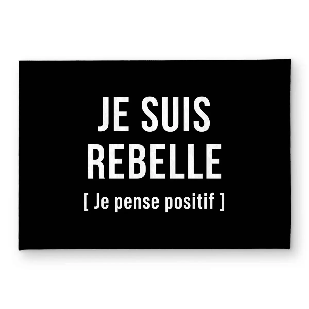 212 MAIN Bold Message Polyester Loop Door Mat - 17x24 in Standard Size, Black-and-White Striped Distinctive Design Funny Message Doormat, Rebellious Vibe Indoor/Outdoor Home Decor Statement Art, Black-And-White Striped Doormats, Distinctive Design Doormat