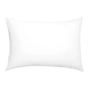 20x30 Pillow Insert - Simple Product Description Provided