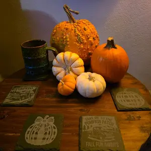Harvest Themed Slate Coaster Set with Pumpkin Designs for Fall Decor and Tabletop Protection