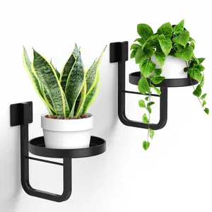 Wall-Mounted Plant Stand, Metal Wall-Hanging Planter Shelf, Indoor Plant Frame, Home Decor, Vertical Gardening Solution
