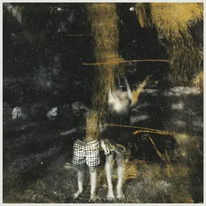 Old Fire - Voids  [VINYL RECORD - LP]