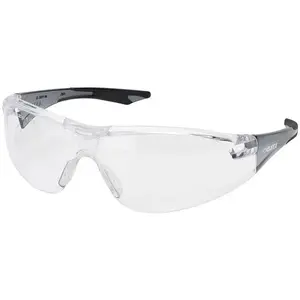 Delta Plus Avion Safety Glasses with Black Temples and Clear Lens