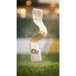 Georgia Tech Streamer Georgia Tech Streamer