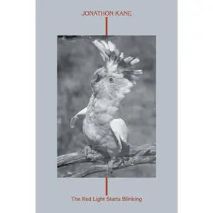USED-The Red Light Starts Blinking by Kane, Jonathon (Paperback)