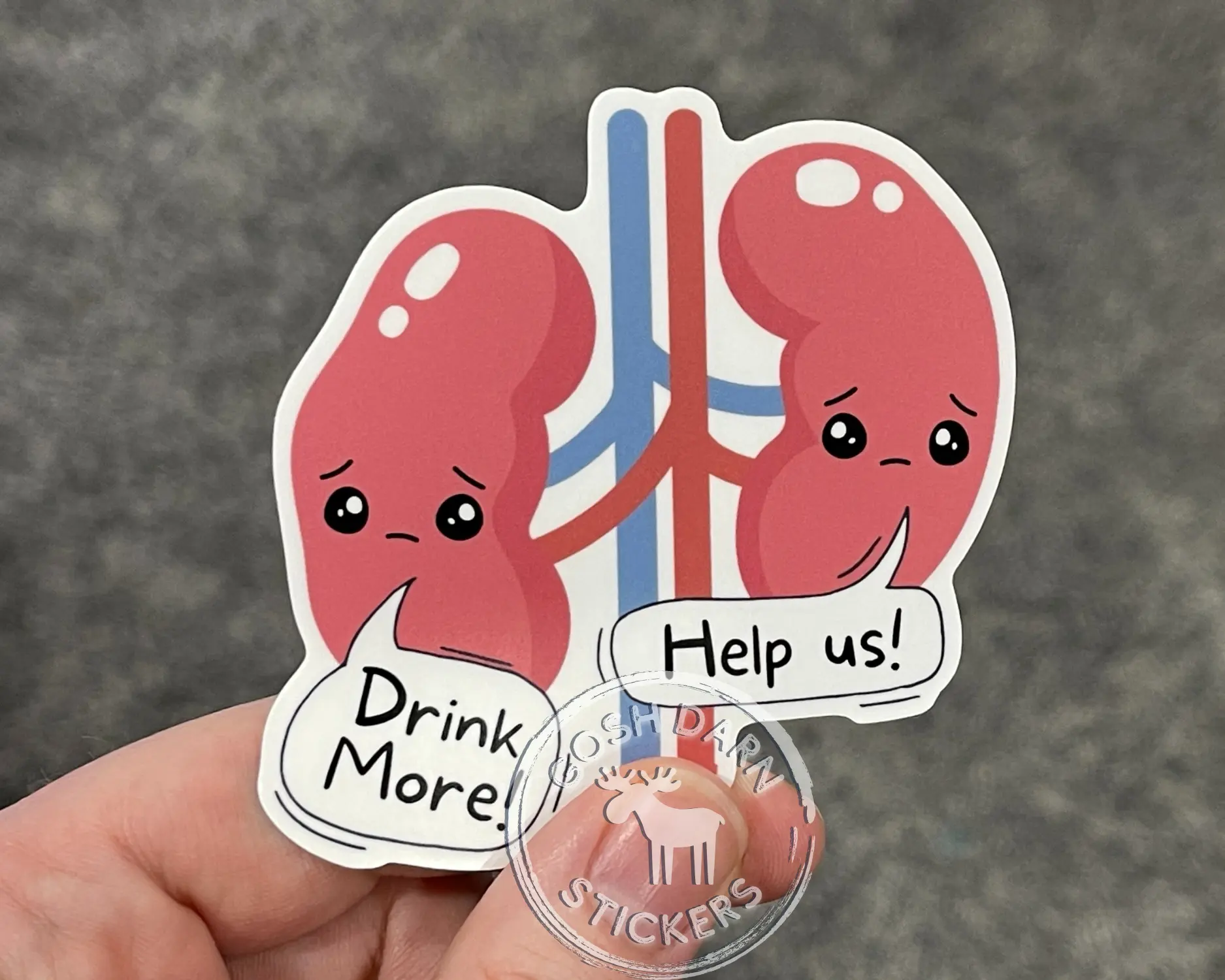 Drink more water Funny Kidney Sticker Nurse Gift Sticker Gift Sticker for water bottles stanley sticker hydroflask sticker self help sticker