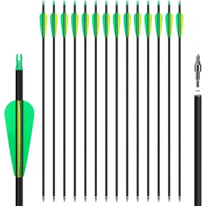 14 Pack 30" Archery Carbon Arrows Practice Hunting Arrows with Removable Tips Shaft Spine 500 Suitable for Recurve Bows