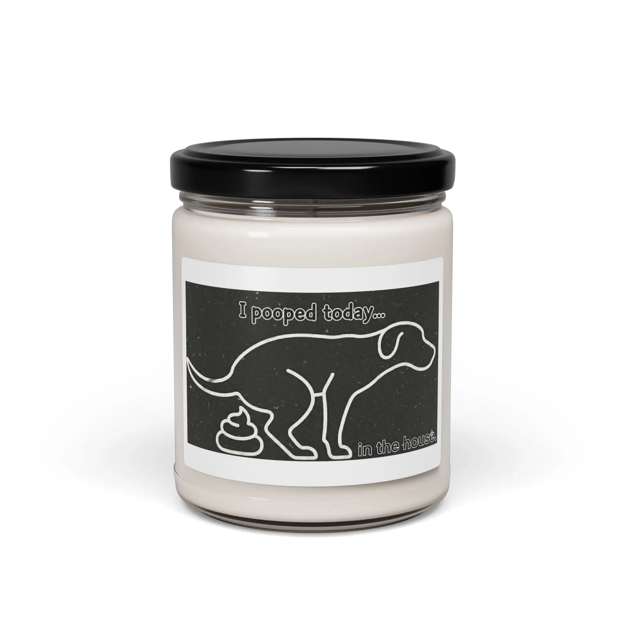 Dog I pooped today...in the house Scented Soy Candle, 9oz.,  pet lover, dogs, candle, Christmas Gift, Gifts, Holiday