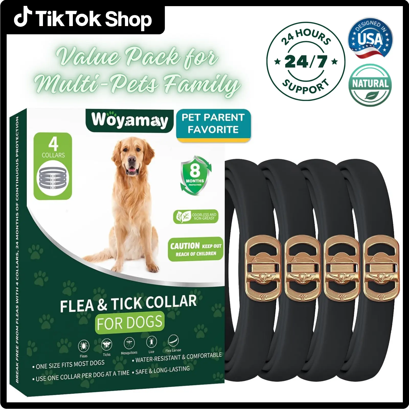 Black Dog Collar Golden Buckle