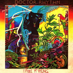 Doctor Rhythm - I Feel It Rising Vinyl LP
